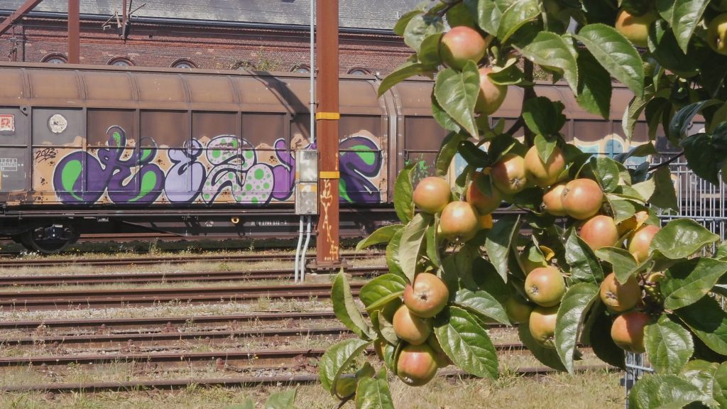 Ein Güterzug im Bahnhof hinter einem Apfelbaum