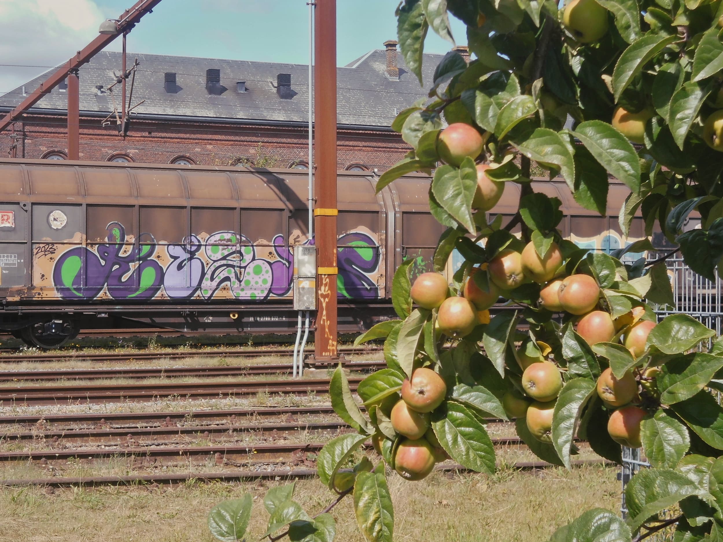 Ein Güterzug im Bahnhof hinter einem Apfelbaum